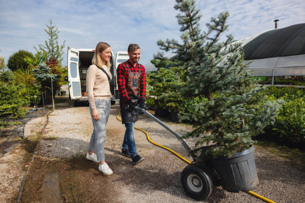 Best Tree Pruning Services  in Richfield, UT